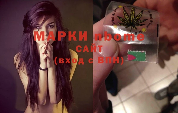 прущие грибы Аркадак