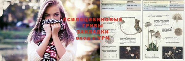 соль курить ск Алзамай