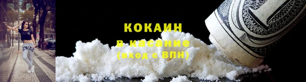 прущие грибы Аркадак
