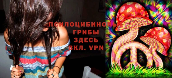 соль курить ск Алзамай