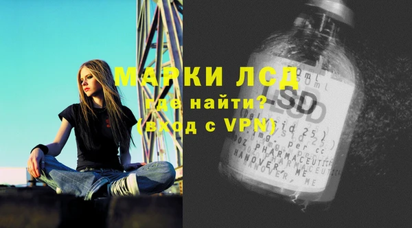 прущие грибы Аркадак